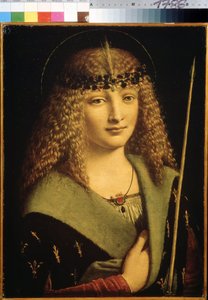 Porträt eines Jungen als Heiliger Sebastian von Giovanni Antonio Boltraffio