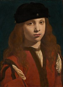 Porträt eines Jugendlichen, ca. 1495-1498
