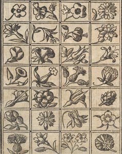 Essempio di recammi, Seite 10 verso, 1530 von Giovanni Antonio Tagliente