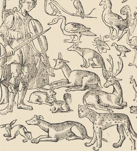 Essempio di recammi, Seite 12 verso, 1530 von Giovanni Antonio Tagliente