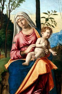 Jungfrau und Kind mit den Heiligen Hieronymus und Ludwig von Toulouse von Giovanni Battista Cima da Conegliano