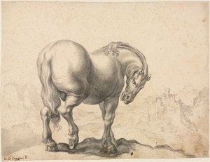 Studie eines Hengstes, erstes Drittel des 18. Jahrhunderts von Giovanni Battista Foggini