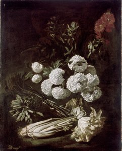 Stillleben mit Blumen und Gemüse, 1650er Jahre von Giovanni Battista Ruoppolo