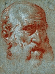 Kopf eines venezianischen Patriziers, Dreiviertelansicht von Giovanni Battista Tiepolo