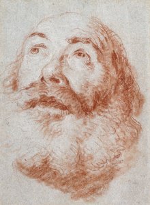Kopf eines alten Mannes, der nach oben schaut von Giovanni Battista Tiepolo