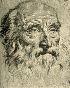 Kopf eines alten Mannes von Giovanni Battista Tiepolo