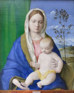 Madonna mit Kind, ca. 1500 von Giovanni Bellini