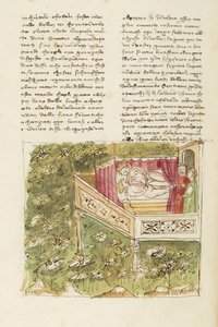 Dekameron, Der Nachtigallenkäfig - Ricciardo Manardi von Lizio überrascht, Fünfter Tag, Novelle 4 von Giovanni Boccaccio