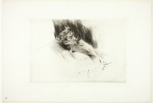 Whistler schläft von Giovanni Boldini