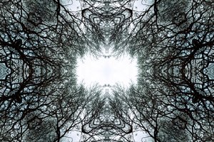 Unnatural 101 von Giovanni Cafagna
