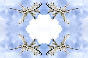 Unnatürlich 115