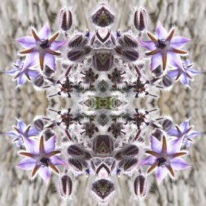 Unnatural 159
