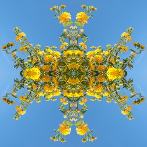 Unnatural 193 von Giovanni Cafagna