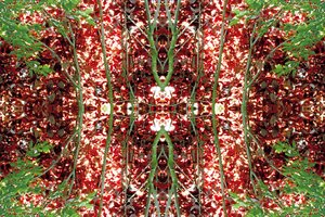 Unnatürlich 23