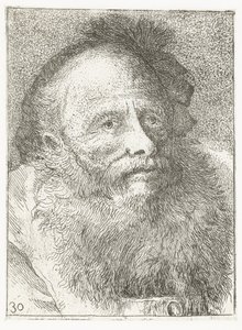 Mann mit Bart und Kopfbedeckung mit Feder Sammlung von Köpfen (Serie) von Giovanni Domenico Tiepolo