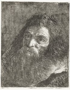 Mann mit langem Haar und Bart von Giovanni Domenico Tiepolo