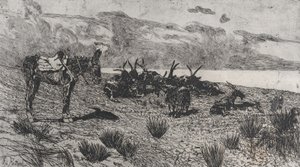 Esel und Ziegen an einem Winterstrand von Giovanni Fattori