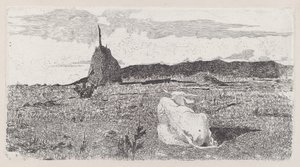 Heilige Kuh [Pio bove] von Giovanni Fattori