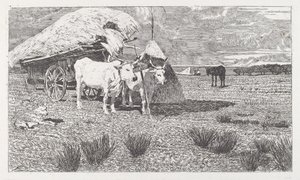 Vor einen Karren gespannte Ochsen (Maremma) von Giovanni Fattori