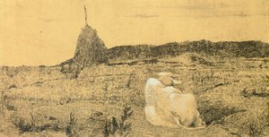 Pio Bove (Frömmiger oder Friedlicher Ochse) von Giovanni Fattori