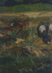 Toskanische Maremma (Detail)