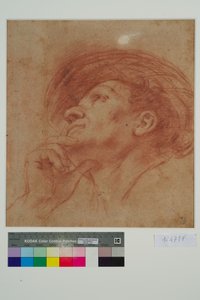 Studie für den Kopf des Propheten Haggai von Giovanni Francesco Barbieri