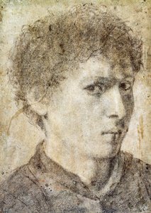 Kopf eines jungen Jungen, Zeichnung von Gian Girolamo Savoldo, schwarzer Bleistift und weiße Kreide, Italien von Giovanni Girolamo Savoldo
