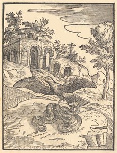 Vogel und Schlange von Giovanni Maria Verdizotti