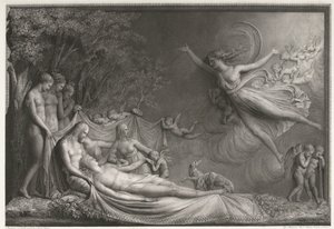 Der Tod des Adonis von Giovanni Martino dei Boni