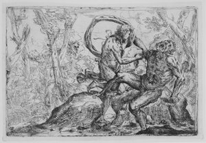 Die Häutung des Marsyas