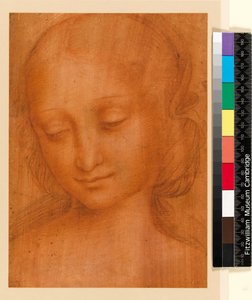 Kopf einer Frau von Giovanni Pietro Rizzoli Giampietrino
