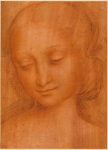 Kopf einer Frau von Giovanni Pietro Rizzoli Giampietrino
