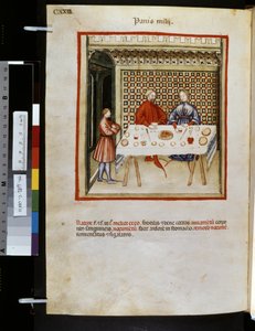 Theatrum sanitatis von Ububchasym de Baldach: 