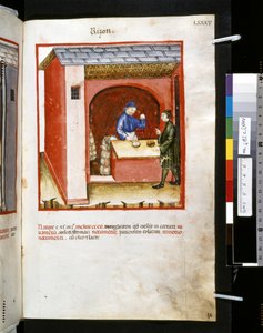 Theatrum sanitatis von Ububchasym de Baldach: 