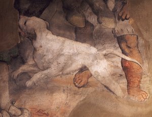 Hund, (Detail), Sant