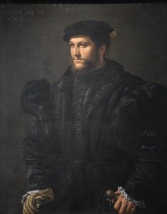 Porträt eines Herrn in Schwarz von Girolamo da Carpi