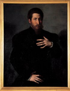 Porträt eines virilen Mannes von Girolamo da Carpi