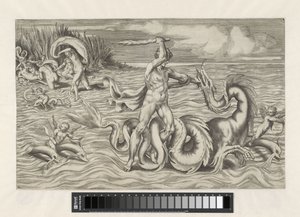 Herkules ringt mit Acheloüs von Giulio Bonasone