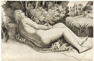 Frau, die in einer Landschaft liegt