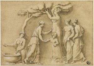 Geburt des Adonis von Giulio Romano