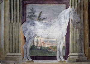 Porträt des Pferdes Glorioso Fresco von Giulio Pippi de