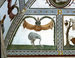 Die Camera con Fregio di Amorini (Detail eines Straußes) von Giulio Romano