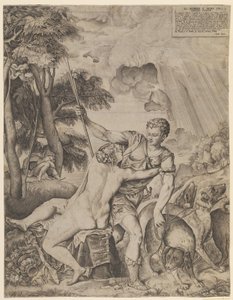 Venus und Adonis von Giulio Sanuto