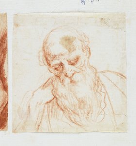 Kopf eines bärtigen Mannes, der nach unten schaut von Giuseppe Cesari