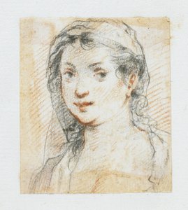 Kopf einer Frau von Giuseppe Cesari