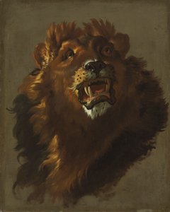 Löwe von Giuseppe Baldrighi