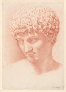Kopf des Apollo von Giuseppe Longhi