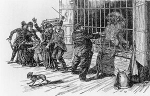 Tartarin und der Löwenkäfig, Illustration für Tartarin in den Alpen von Alphonse Daudet von Giuseppe Porcheddu