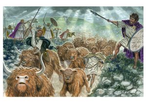 Táin Bó Cúailnge Der Viehraub von Cooley von Giuseppe Rava