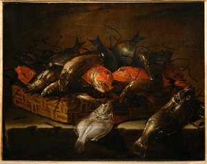 Stillleben mit Fisch von Giuseppe Recco